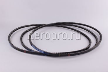 Ремень XPA-1400 Lw Muscle XR4