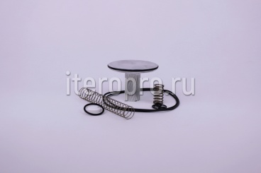 Комплект ремонтный клапана впускного RB80E 620.0360