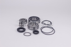 Комплект ремонтный подшипников EVO6 163105