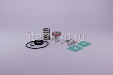 Комплект ремонтный клапана впускного для IC60N 113960 (NK60, NK100)