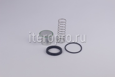 Комплект ремонтный клапана минимального давления G40 / G46 220.0350