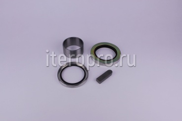 Комплект ремонтный уплотнений OS110R C22832059