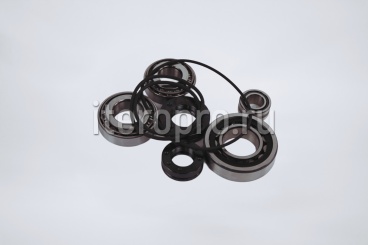Комплект ремонтный подшипников EVO3-NK-G 162040