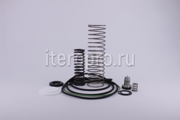 Комплект ремонтный клапана впускного RB200E 620.5560