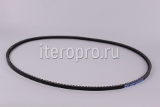 Ремень XPA-1507 Lw Muscle XR4